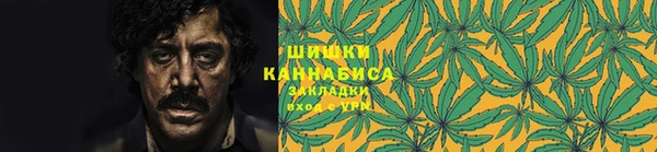 прущие грибы Алексеевка