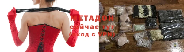 прущие грибы Алексеевка