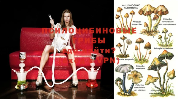 прущие грибы Алексеевка