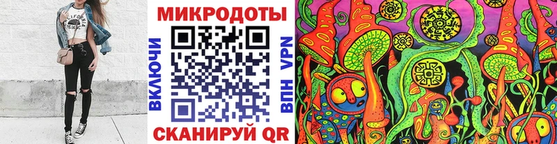 Галлюциногенные грибы Cubensis  нарко площадка Telegram  Новозыбков  как найти наркотики 