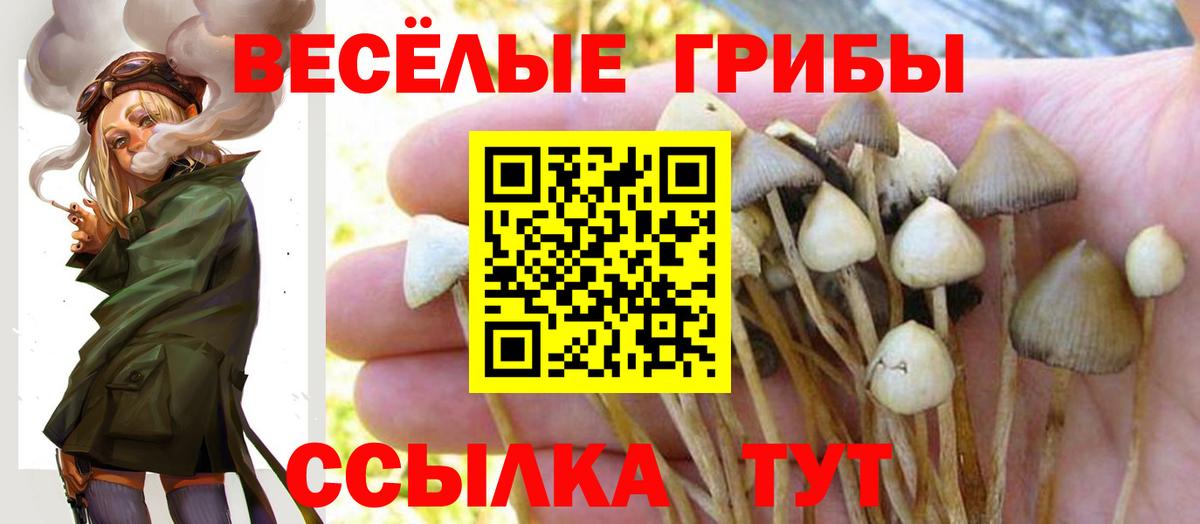 Галлюциногенные грибы мухоморы  Вход с VPN  купить   Новозыбков  Псилоцибиновые грибы MAGIC MUSHROOMS 